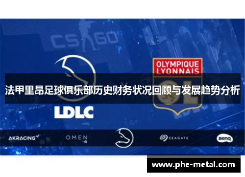 法甲里昂足球俱乐部历史财务状况回顾与发展趋势分析