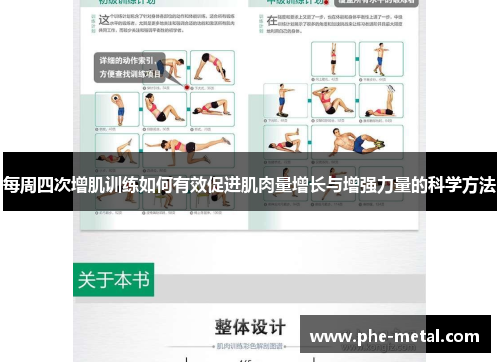 每周四次增肌训练如何有效促进肌肉量增长与增强力量的科学方法